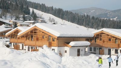 Alpenchalets Flachauer Gutshof